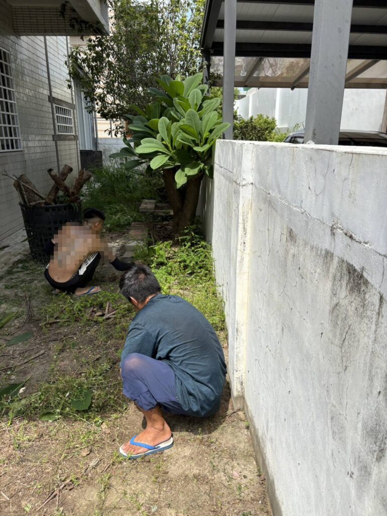 高雄市 庭院清理